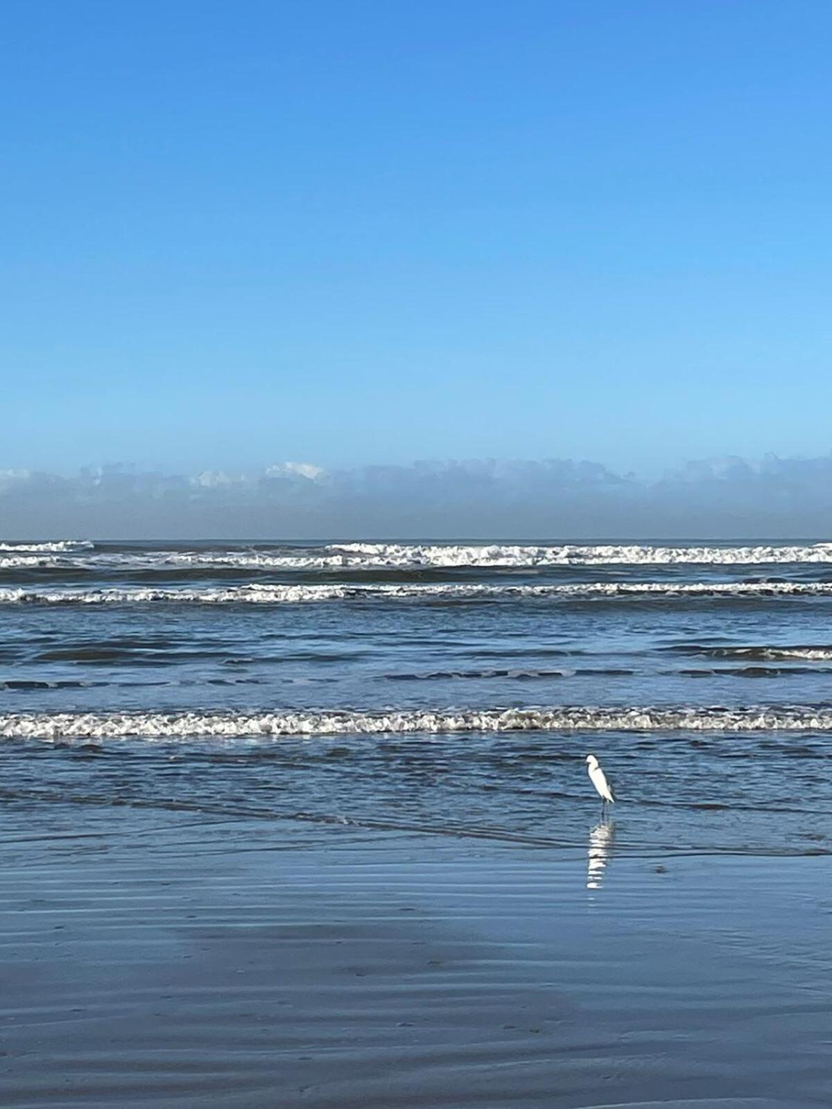 Habitat - Predio De Frente Pro Mar Leilighet Praia Grande  Eksteriør bilde